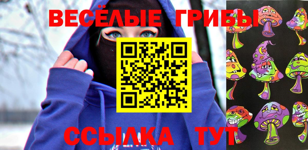 Псилоцибиновые грибы Cubensis Арзамас